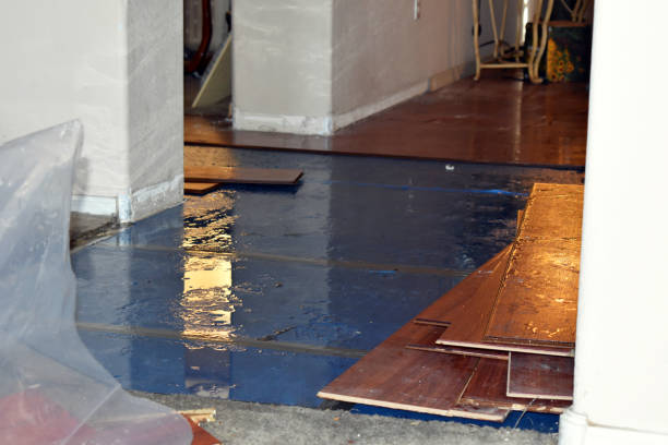 Professional Water Damage Restoration technician working in Coleman, TX